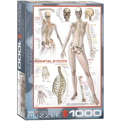 Casse-Tête/1000 mcx : Le Squelette